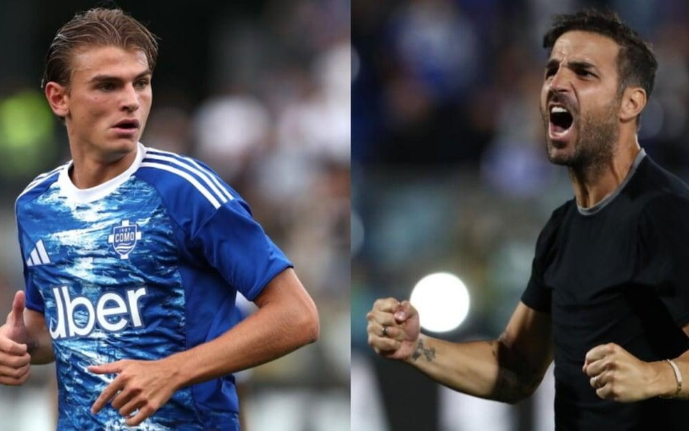 专注帮助他 专注帮助他