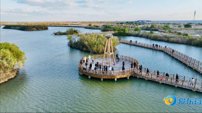 这句话既是 这句话既是