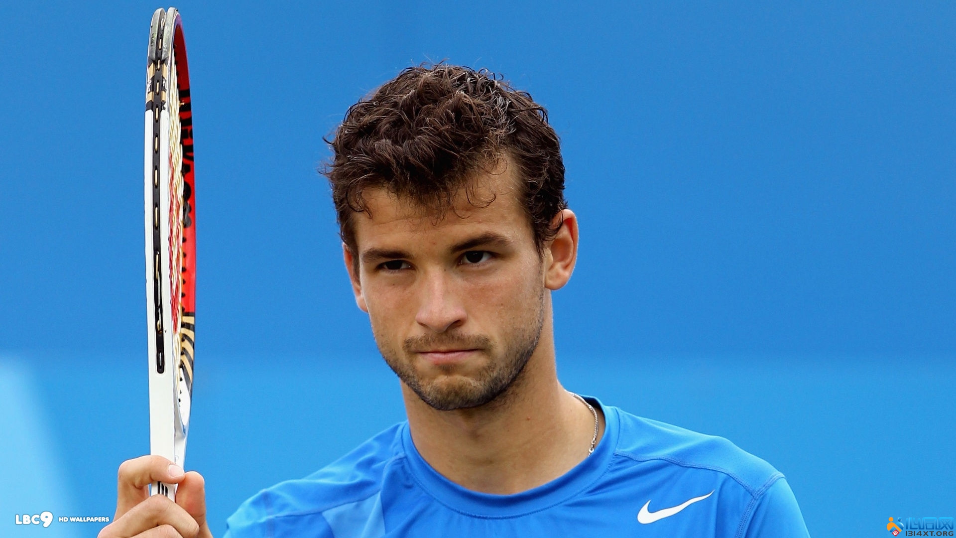 采用的依据 采用的依据