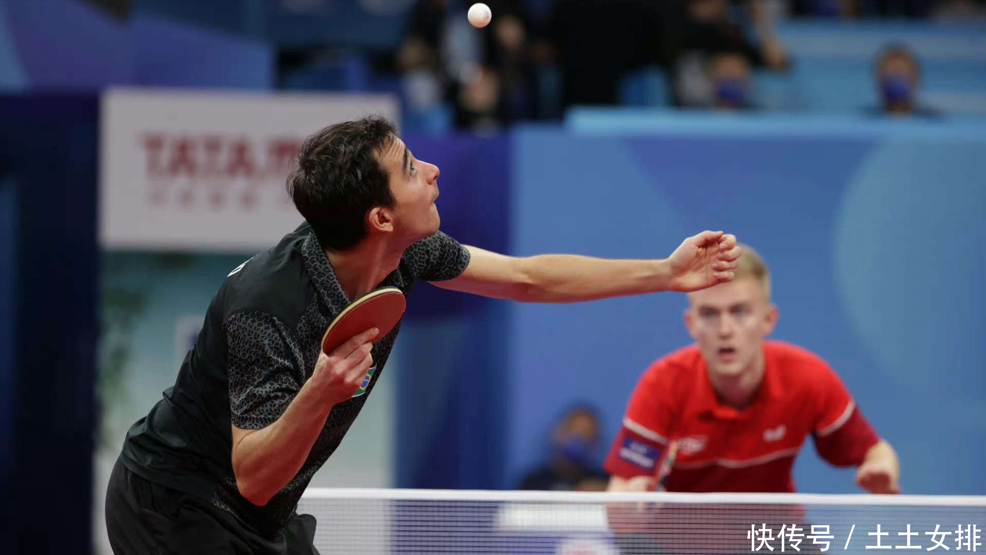 手相提并论 手相提并论